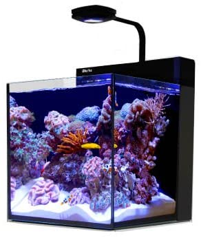 Red Sea R40002 product image 4