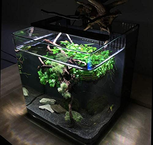 Aquarium Live Water Plants A05 product image 2