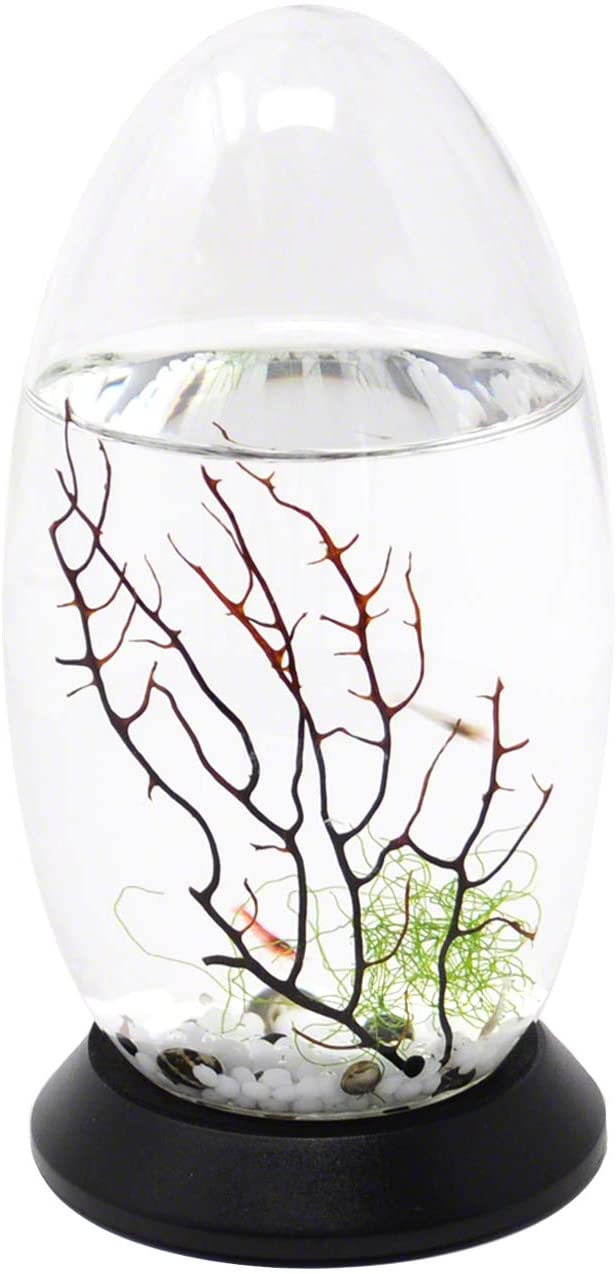 EcoSphere Small Pod with Base product image 9