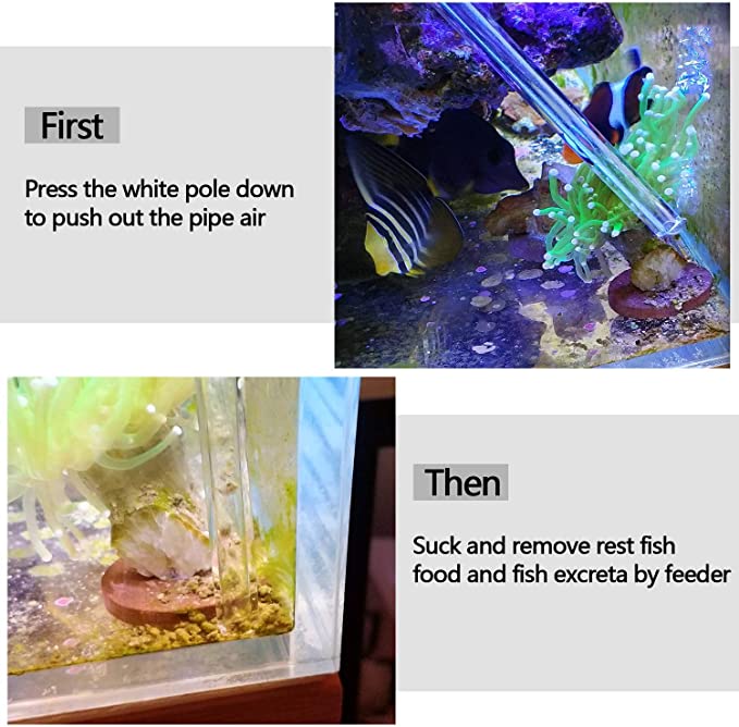 Aquarium Choice  product image 2