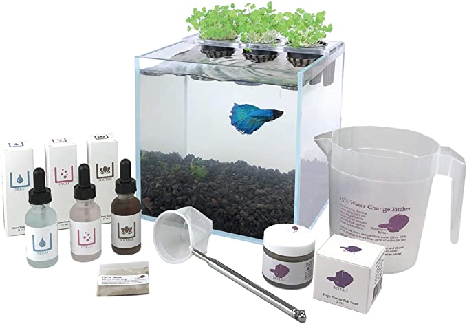 Boutique Betta  product image 10