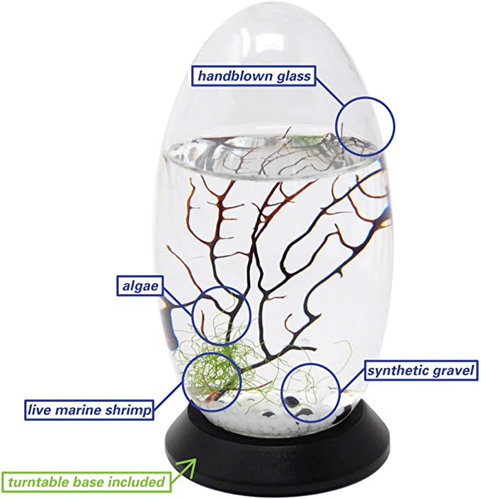 EcoSphere Small Pod with Base product image 10