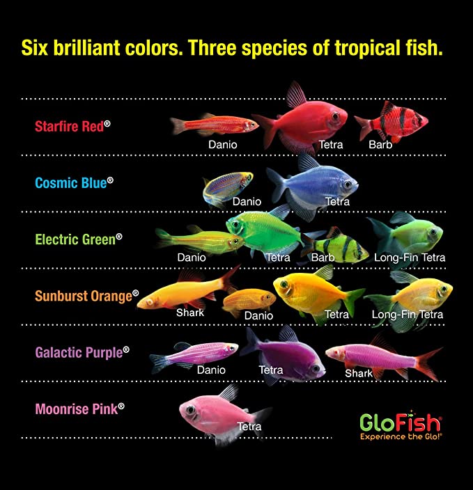 GloFish NV33823 product image 6