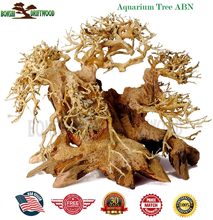 Bonsai Driftwood  product image 9